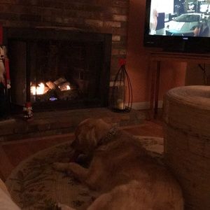 Meet your Posher, Jared